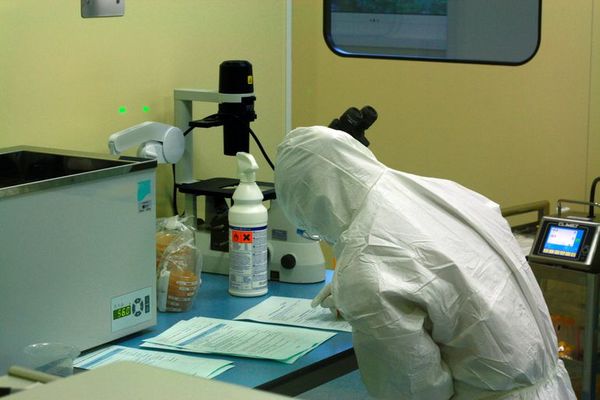 La estabilidad genética del COVID-19 posibilita una vacuna más eficiente - Ciencia - ABC Color