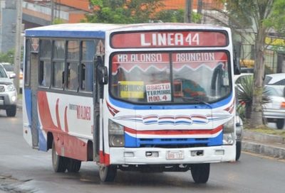 Cetrapam pide que el Gobierno pague el combustible de buses