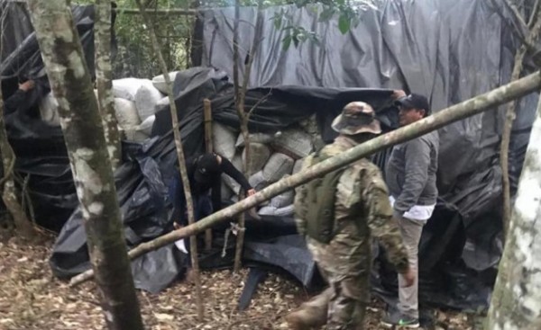 Incautan más de 4 toneladas de marihuana en campamento clandestino