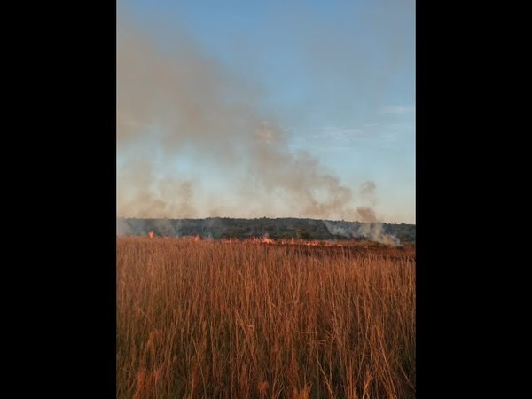 INCENDIO FORESTAL EN CAMBYRETA