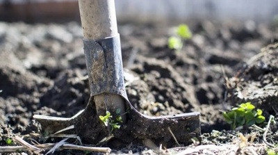 Coronel Oviedo: propiedad Municipalidad será destinada a posibles casos de coronavirus » Ñanduti