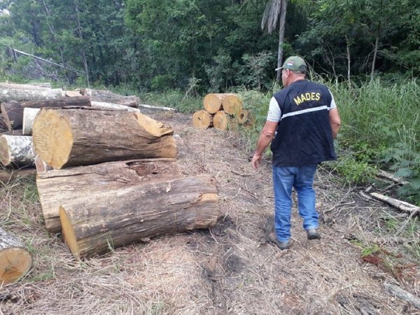 Fiscalía y Mades constatan tala de árboles en el Parque Nacional San Luis