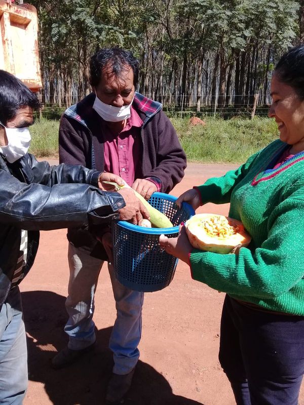 Agricultores donan sus productos a las familias vulnerables