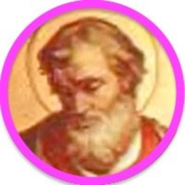 San Aniceto | Crónica
