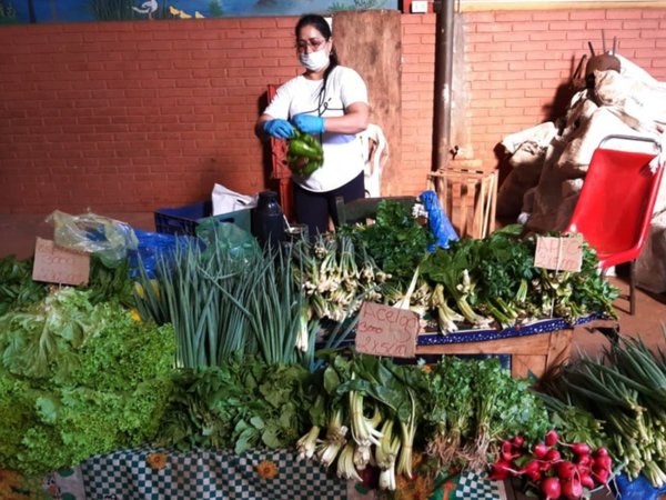 Problemas en transporte e insumos reducen actividad de hortigranjeros