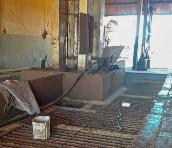 Casi fue “ENTERRADO” bajo granos de SOJA
