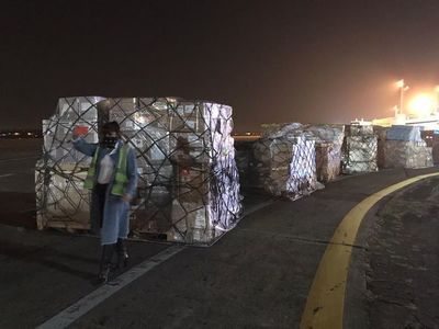 Llegan más insumos para el sector privado que el público, cuestiona diputado - Nacionales - ABC Color