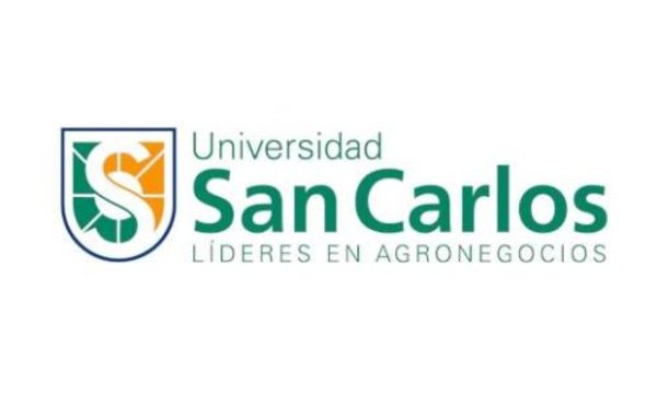 » La pandemia no impidió defensas de tesis a los alumnos de la USC