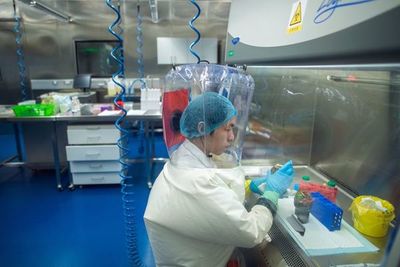 El laboratorio de Wuhan, centro de una controversia mundial - Mundo - ABC Color
