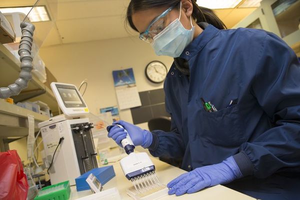 Más de 150.000 muertos en el mundo por coronavirus - Mundo - ABC Color