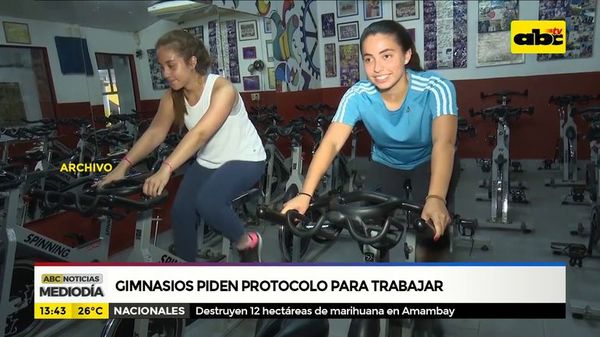 Gimnasios piden protocolo para trabajar - ABC Noticias - ABC Color