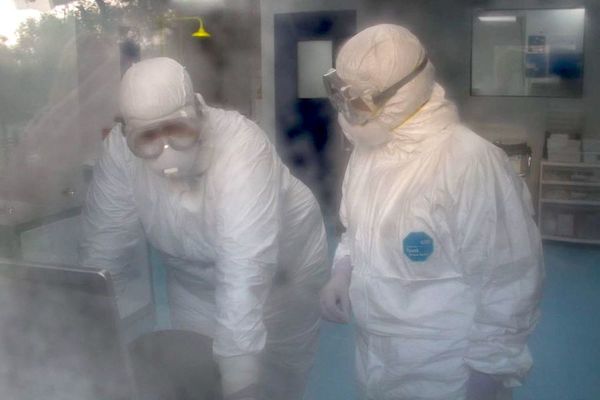 Salud trabaja para que médicos no sean vectores del virus