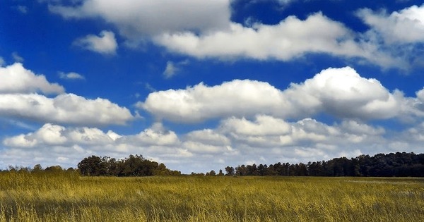 Buen tiempo con frescos amaneceres y tardes cálidas a calurosas. | Info Caacupe