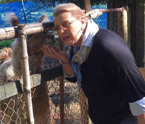 Militares asisten a 1.200 animales del JBZA