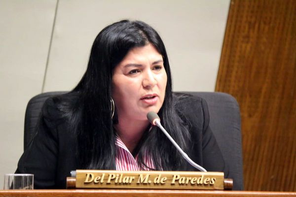 Diputados tratarán pedido de desafuero de Del Pilar Medina