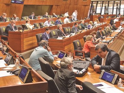 Buscan sancionar a los que especulan con los insumos