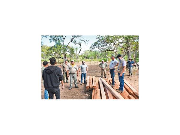 Verifican área de desmonte que involucra a un diputado