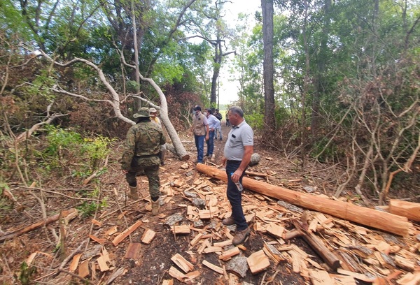 Ministro constata tala de árboles en Parque Nacional
