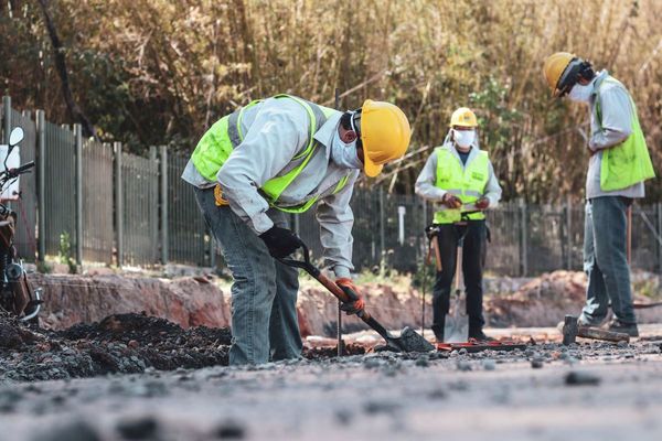 Corredor Botánico: Reactivan obras con estrictas medidas sanitarias