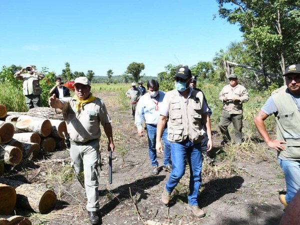 Constatan esquema de tala ilegal en Parque Nacional San Luís: 'esto es un ecocidio', califica ministro