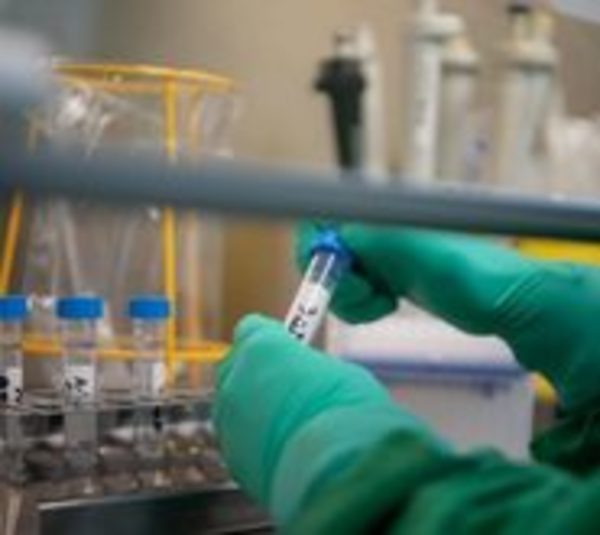 EEUU había advertido sobre falta de seguridad de laboratorio de Wuhan - Paraguay.com
