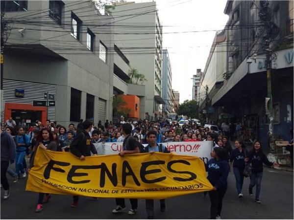 Fenaes declara paro virtual y pide plan nacional de educación