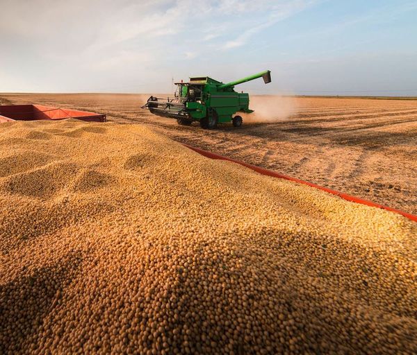 Agroexportadores tendrán sobrecosto para enviar soja