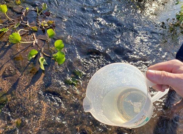 Aguas transparentes del Lago Ypacarai