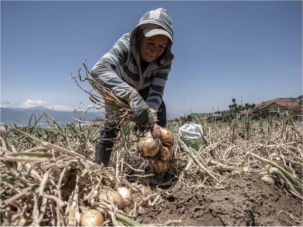 La música rinde homenaje a agricultores de América por su trabajo en pandemia