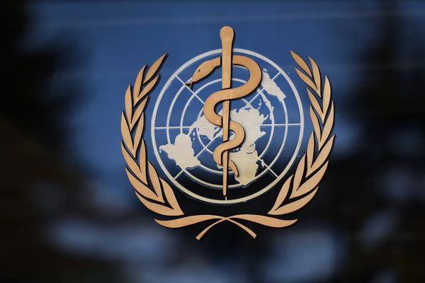 OMS asegura que no escondió nada a Estados Unidos sobre COVID-19 - Mundo - ABC Color