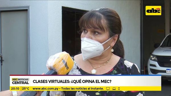 Clases virtuales: ¿Qué opina el MEC? - ABC Noticias - ABC Color
