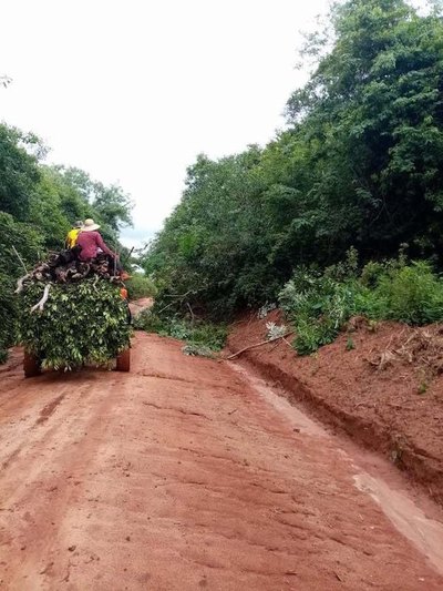 “Siempre vivimos aislados, solo que ahora es peor" | Crónica