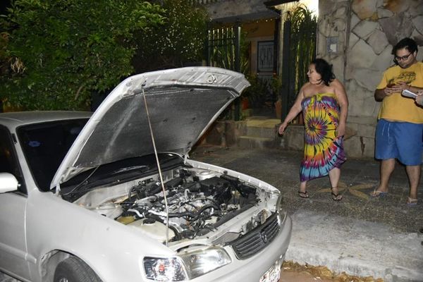 Llamativo robo de baterías de vehículos en Sajonia - Nacionales - ABC Color