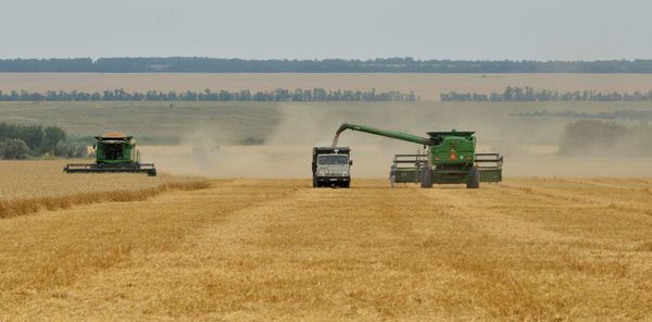 Agroexportadores tendrán sobrecostos para envíos