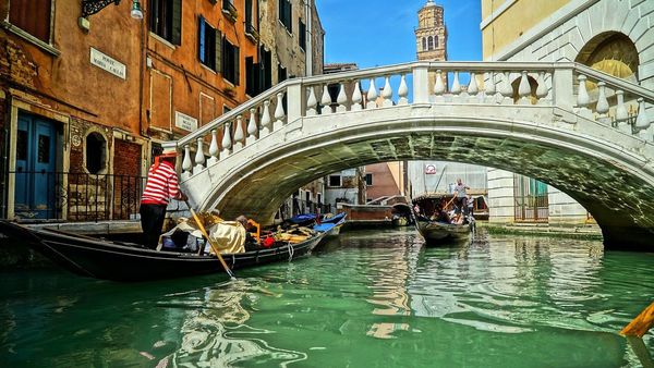 Festival de Venecia se hará en setiembre
