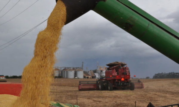 » Agroexportadores tendrán sobrecostos para envíos