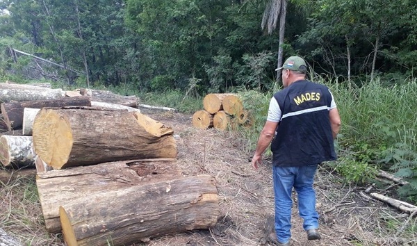Inician investigación interna sobre desmonte en el Parque Nacional San Luis