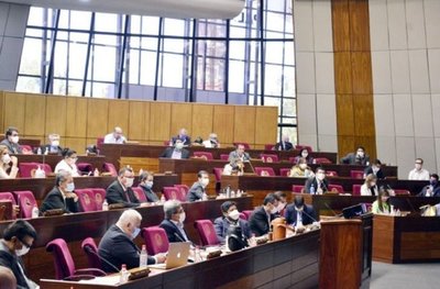 Diputados aprueba uso de royalties para Salud, víveres y gastos - Digital Misiones