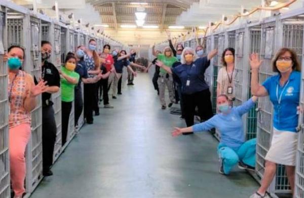 Un refugio de animales celebra que adoptaron a todas las mascotas y sus jaulas están vacías - SNT