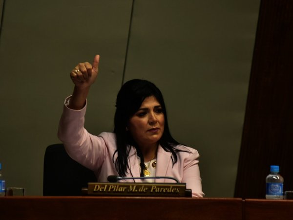 Jueza admite imputación contra diputada Del Pilar Medina
