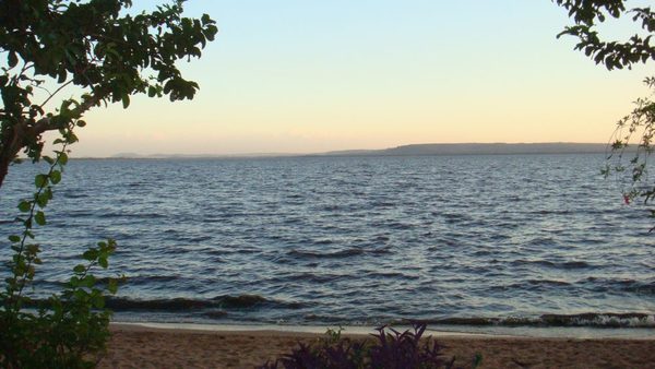 La cuarentena hace que el lago Ypacaraí se recupere