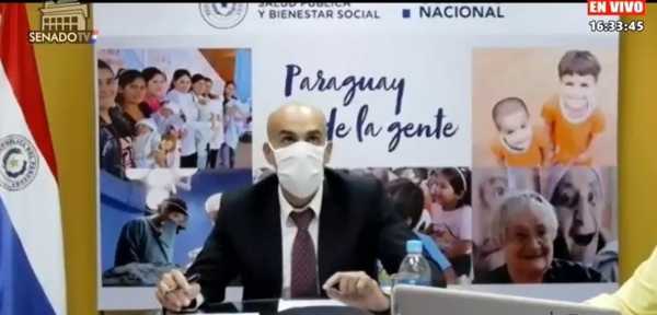 Mazzoleni se reúne virtualmente con la Comisión Bicameral | Noticias Paraguay