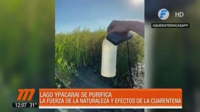 Aguas del lago Ypacaraí lucen cristalinas en cuarentena