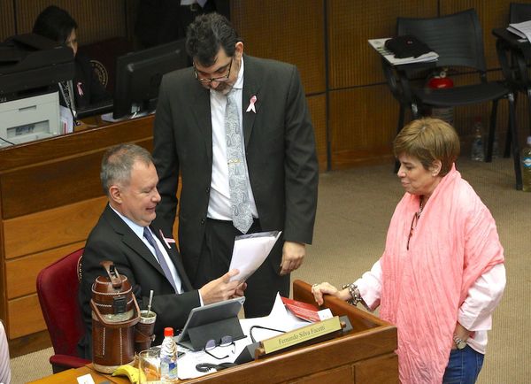 Senadores buscan desvirtuar autonomía de los recursos de las binacionales