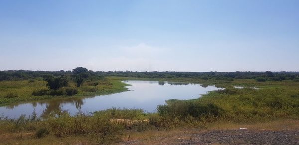 Malos hábitos contra la naturaleza crean pestes, afirman