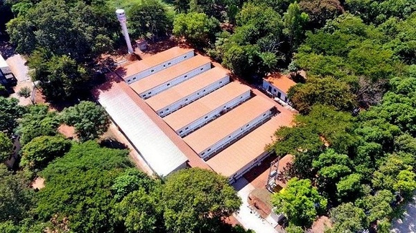 Coronavirus: Paraguay construye un hospital de contingencia en 25 dias [VIDEO]