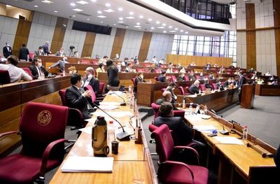 Cámara Baja trata el lunes “tijerazo” a los  privilegios - Política - ABC Color