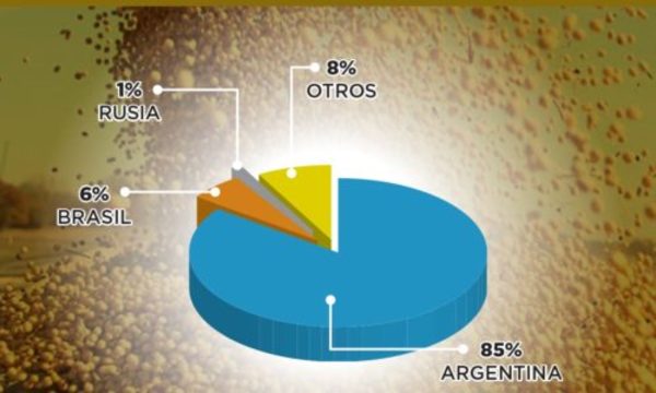 » Exportación de soja paraguaya se concentra a nivel regional
