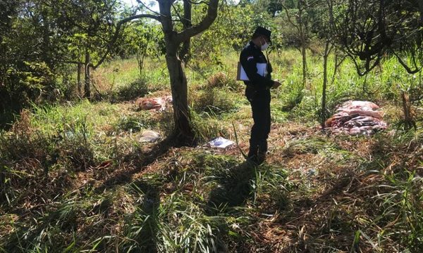 Denuncian abigeato en Hernandarias