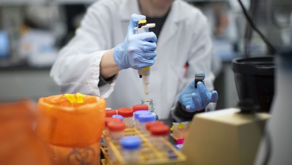 Científico israelí asegura que la propagación del coronavirus disminuye a casi cero después de 70 días